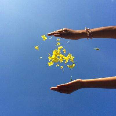 手游赏金女王免费下载