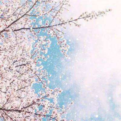 星空体育APP手机app下载